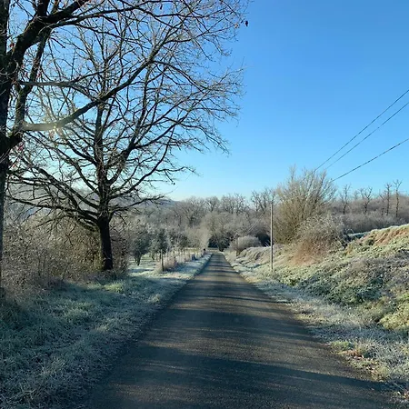 Retreat In The Gers With Pool, Bikes And Starry Skies *