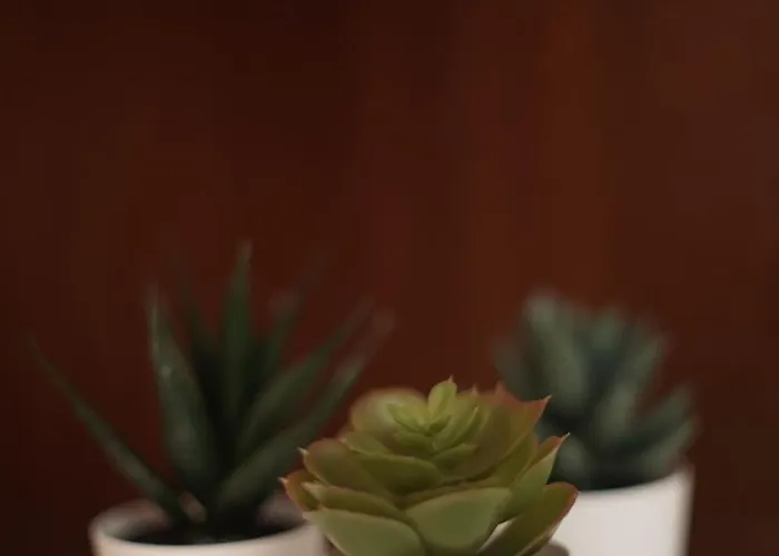 Apartamento Retreat In The Gers With Pool, Bikes And Starry Skies