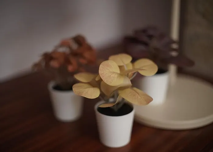 Retreat In The Gers With Pool, Bikes And Starry Skies * Barran