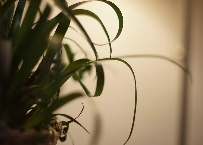 Apartamento Retreat In The Gers With Pool, Bikes And Starry Skies Barran