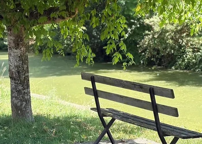 Retreat In The Gers With Pool, Bikes And Starry Skies Apartamento