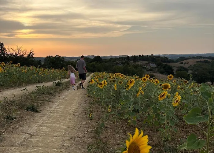 Retreat In The Gers With Pool, Bikes And Starry Skies *