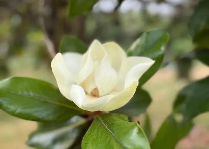 Retreat In The Gers With Pool, Bikes And Starry Skies *