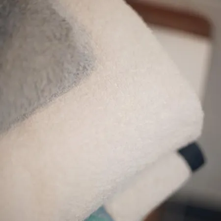 Retreat In The Gers With Pool, Bikes And Starry Skies Διαμέρισμα Barran