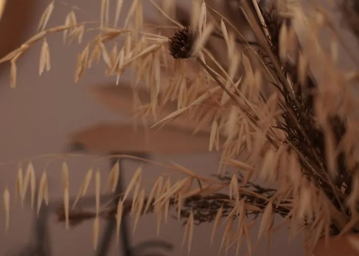 Διαμέρισμα Retreat In The Gers With Pool, Bikes And Starry Skies Barran