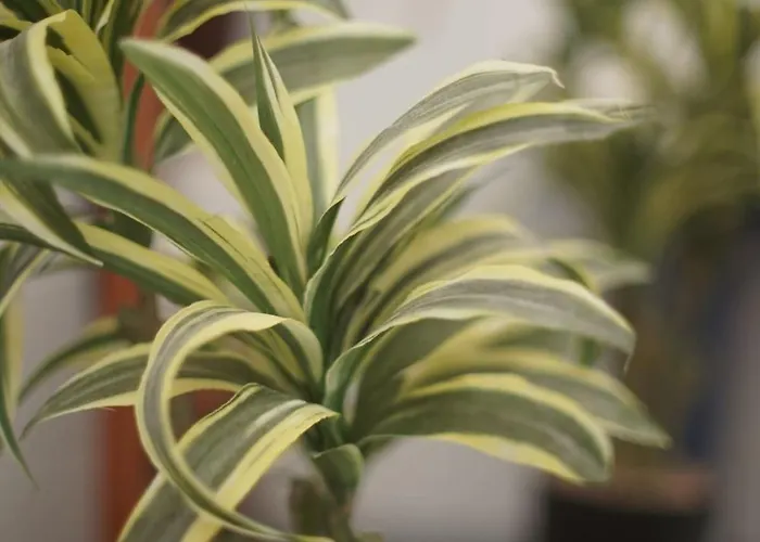 Διαμέρισμα Retreat In The Gers With Pool, Bikes And Starry Skies *