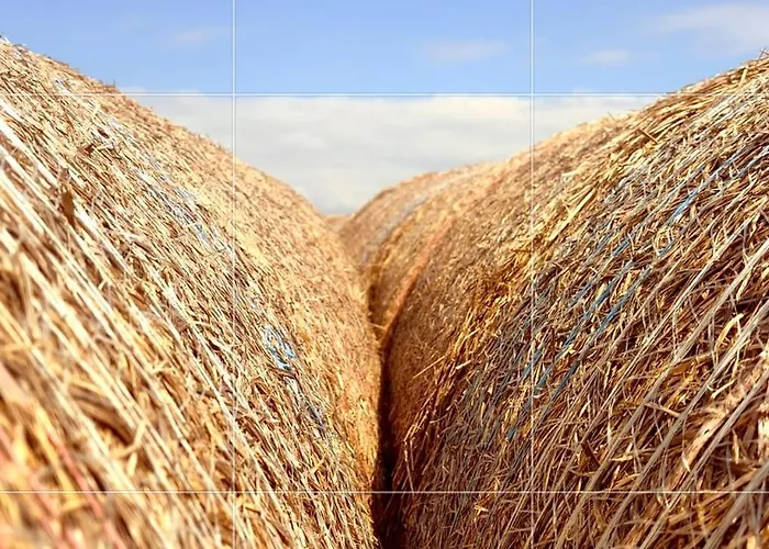 Retreat In The Gers With Pool, Bikes And Starry Skies Διαμέρισμα Barran